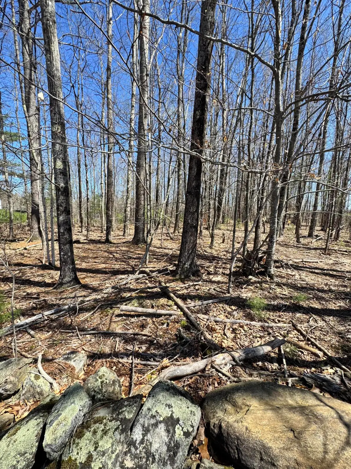 TBD Oakwood Drive, West Gardiner, ME 04345 - #1