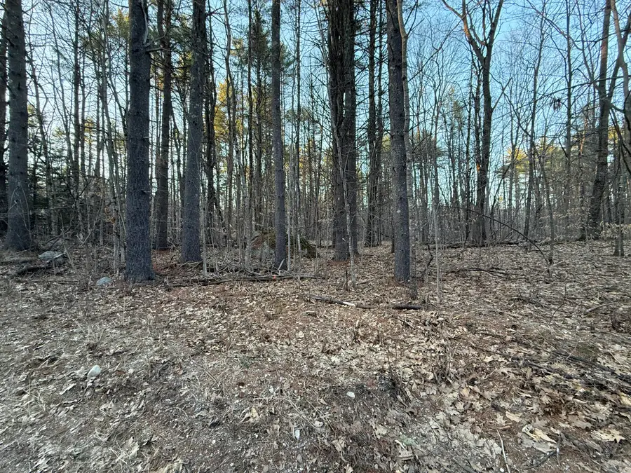 Lot 65 Leisure Lane, Limerick, ME 04048 - #3