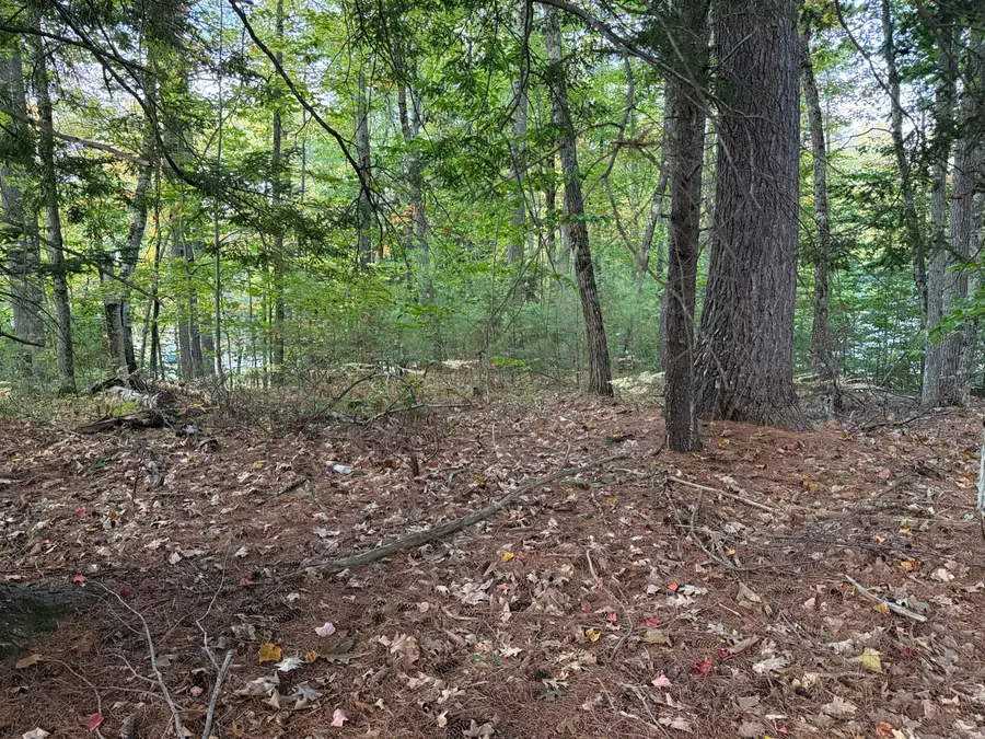 Lot 2093 Sunny Brook Circle, Lake Arrowhead, ME 04061 - #2