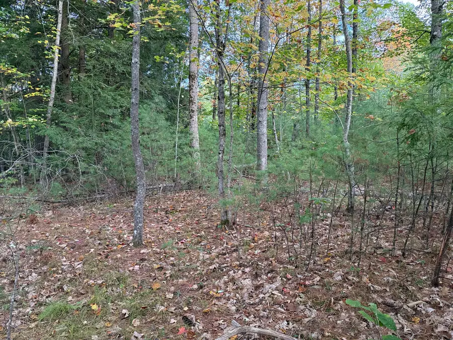 Lot 2093 Sunny Brook Circle, Lake Arrowhead, ME 04061 - #3