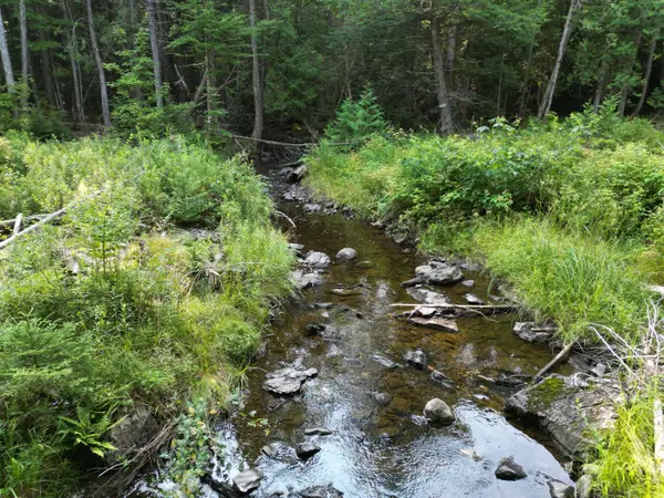 Lot 33-4 West Road, Springfield, ME 04487