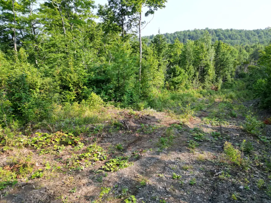 Lot 33-4 West Road, Springfield, ME 04487 - #2