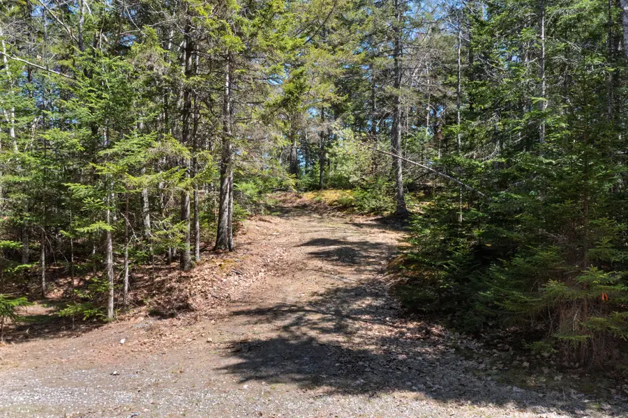 6-60.3 Castle Lane, Westport Island, ME 04578 - #3