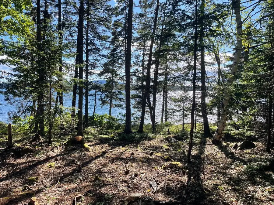 56 Jordan Harbor Road, Winter Harbor, ME 04693 - #2