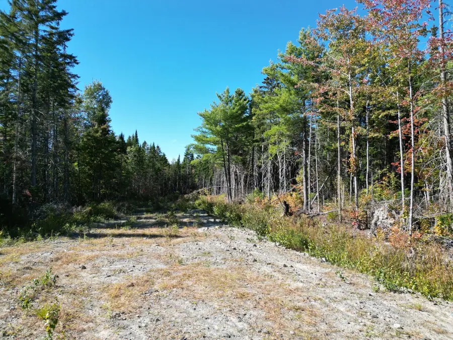 Lot 14 Whitetail Way, Lowell, ME 04493 - #2