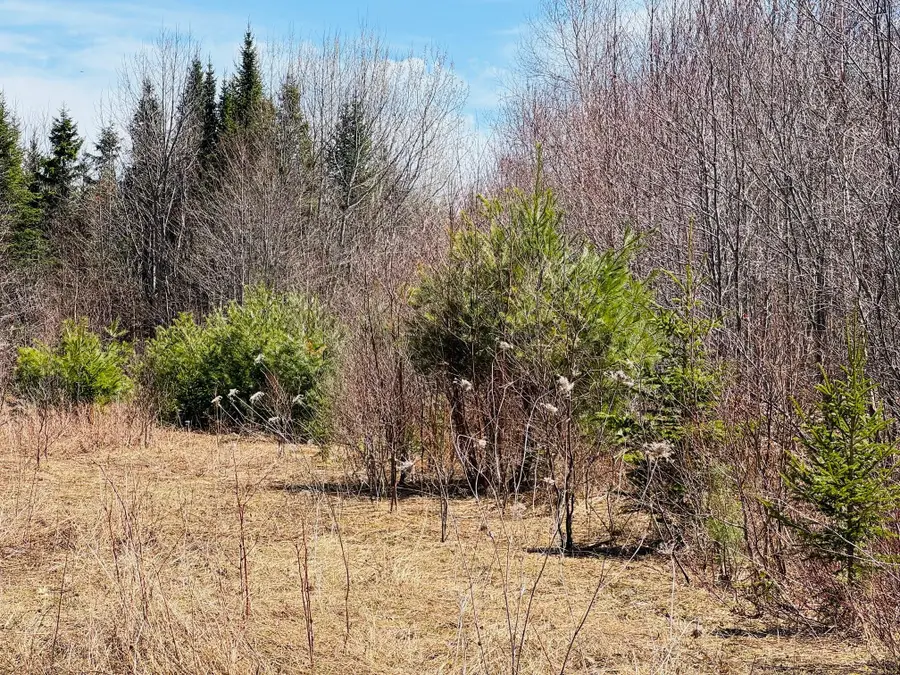 1B Aroostook Scenic Highway, Hersey, ME 04780 - #3