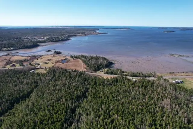 Lot 29D Cutler Road, Whiting, ME 04691 - #1