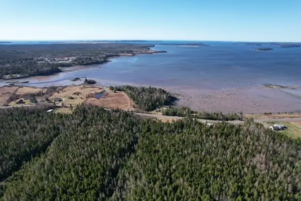 Lot 29D Cutler Road, Whiting, ME 04691