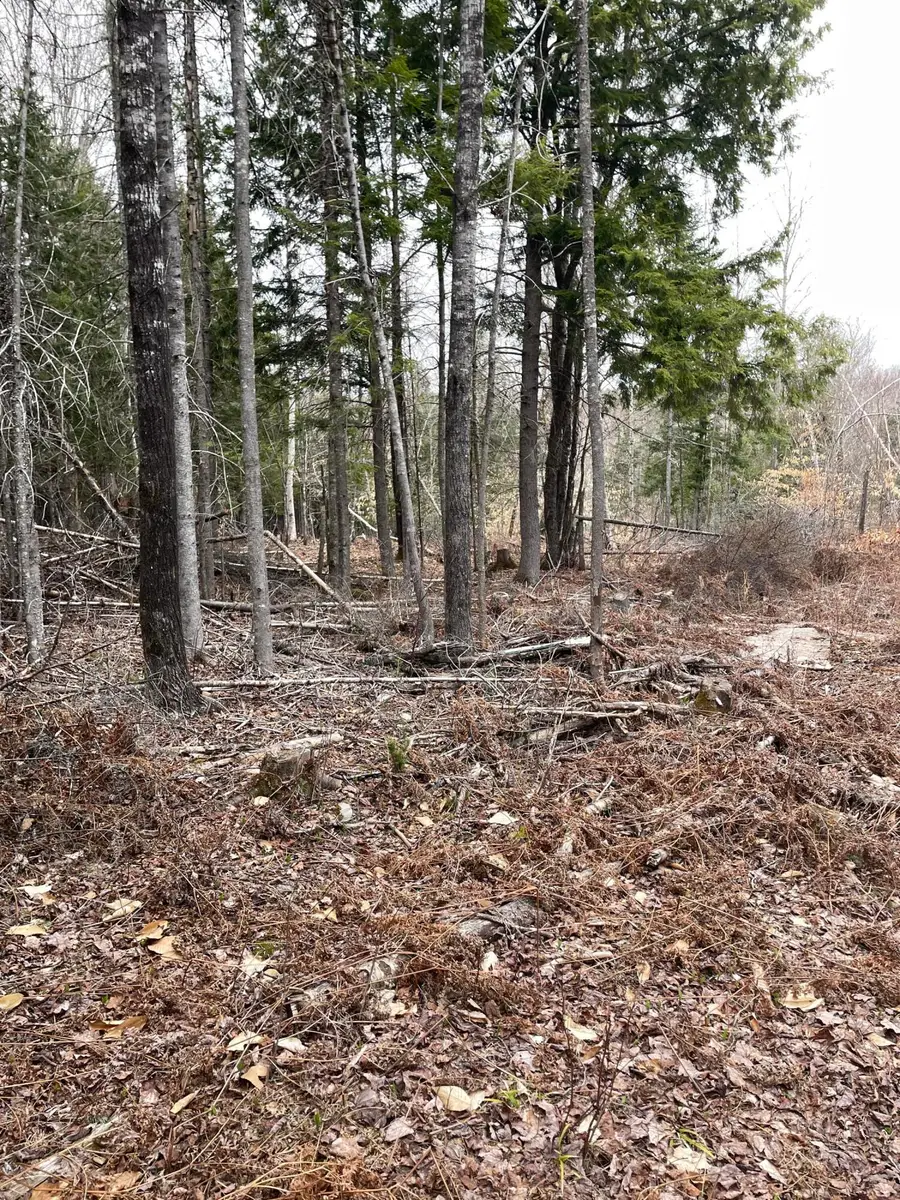 27-1 Hayes, Harmony, ME 04942 - #3