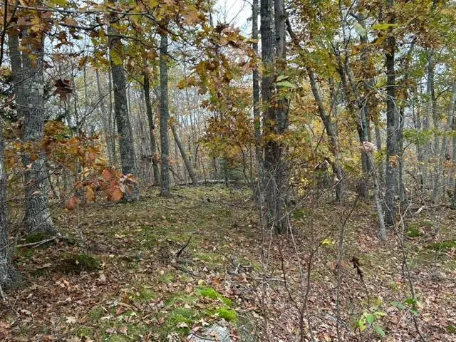 00 Swanville Road, Frankfort, ME 04438 - #2