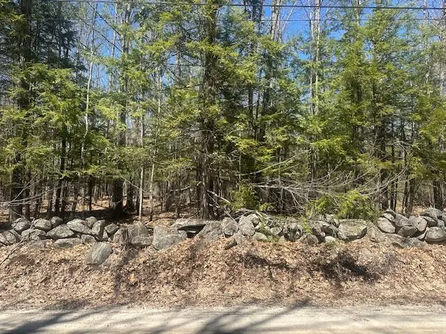 TBD Whitney Road, Bridgton, ME 04009 - #3