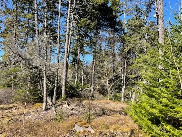 9 Rockledge Road, South Thomaston, ME 04858 - #3