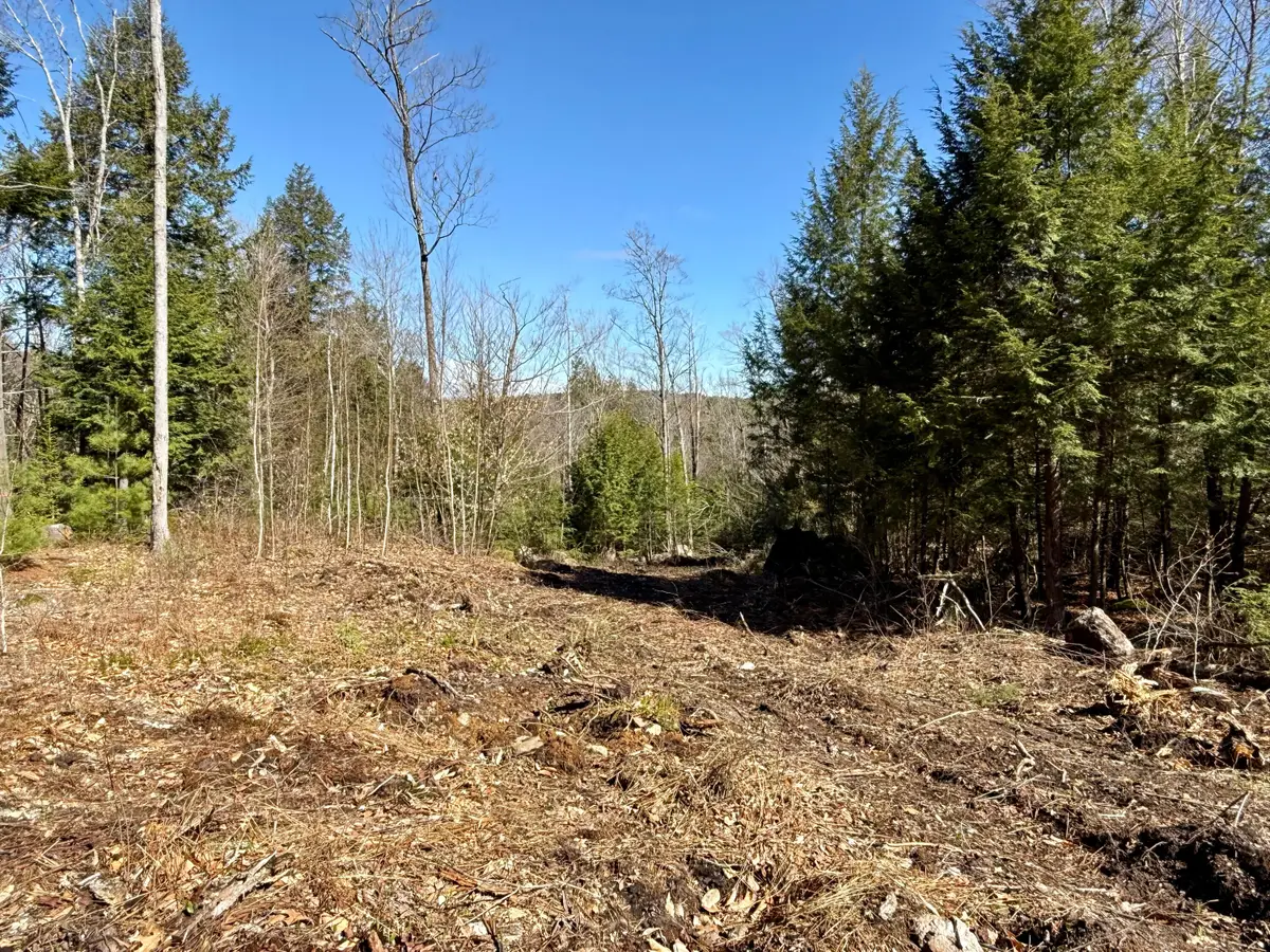 Map8Lot53B Buckfield Road, Paris, ME 04271 - #1