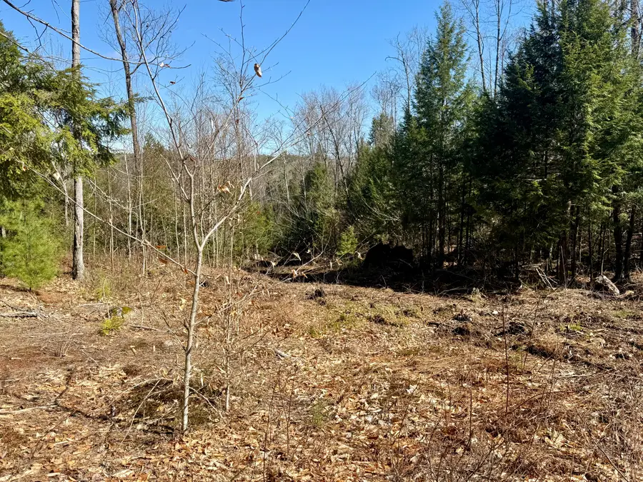 Map8Lot53B Buckfield Road, Paris, ME 04271 - #2
