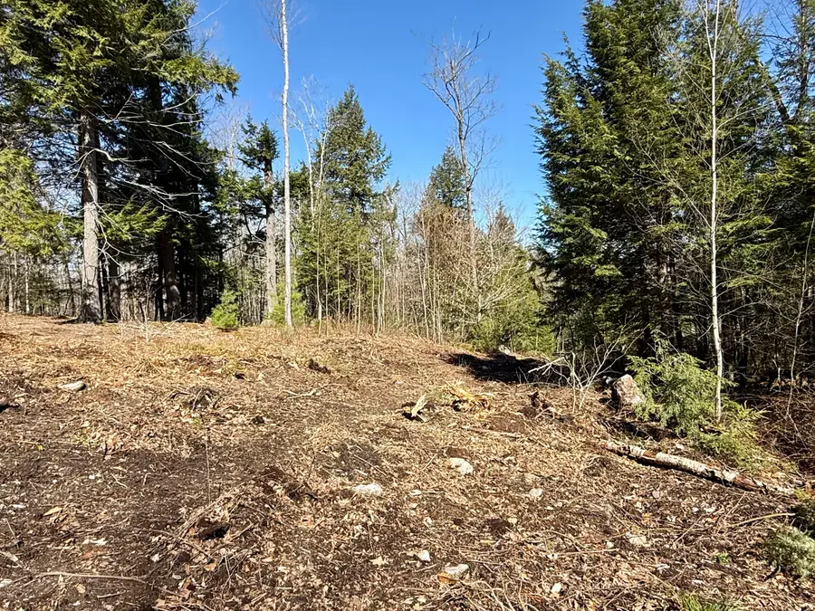 Map8Lot53B Buckfield Road, Paris, ME 04271 - #3