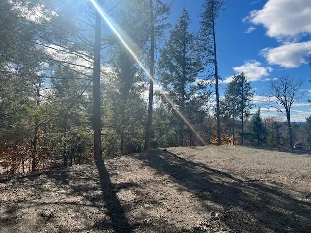Lot 5 Peterson Road, Bowerbank, ME 04426 - #3