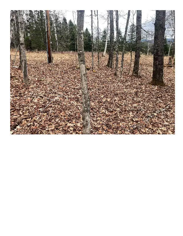 M7L67-11 Amber Road, Rangeley, ME 04970 - #2