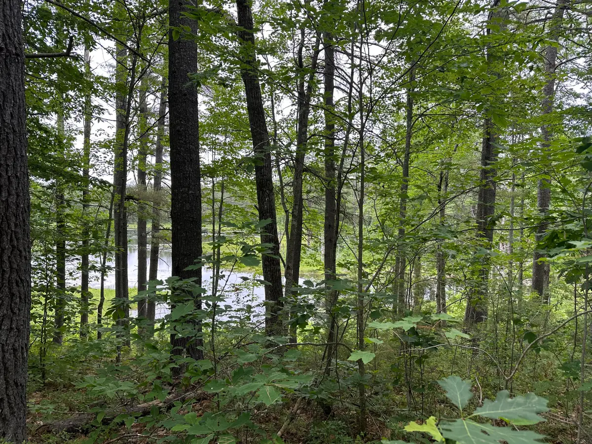 M 7 L 5-5 Blandings Lane, Shapleigh, ME 04076 - #1