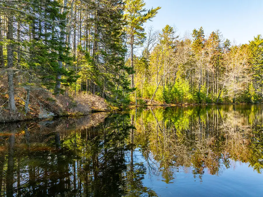 25 Deaver Road, Waldoboro, ME 04572 - #3