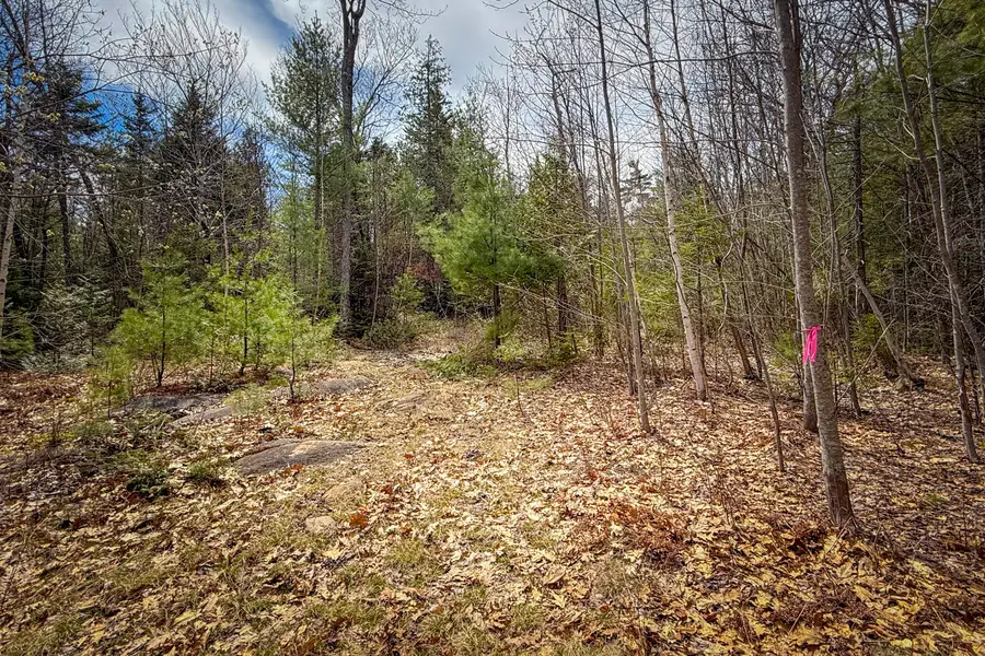 2030 Atlantic Highway, Lincolnville, ME 04849 - #3