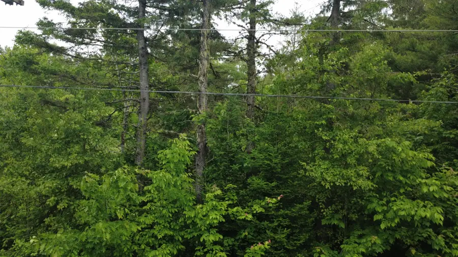 Lot 6.3 Houlton Road, Brookton, ME 04413 - #3
