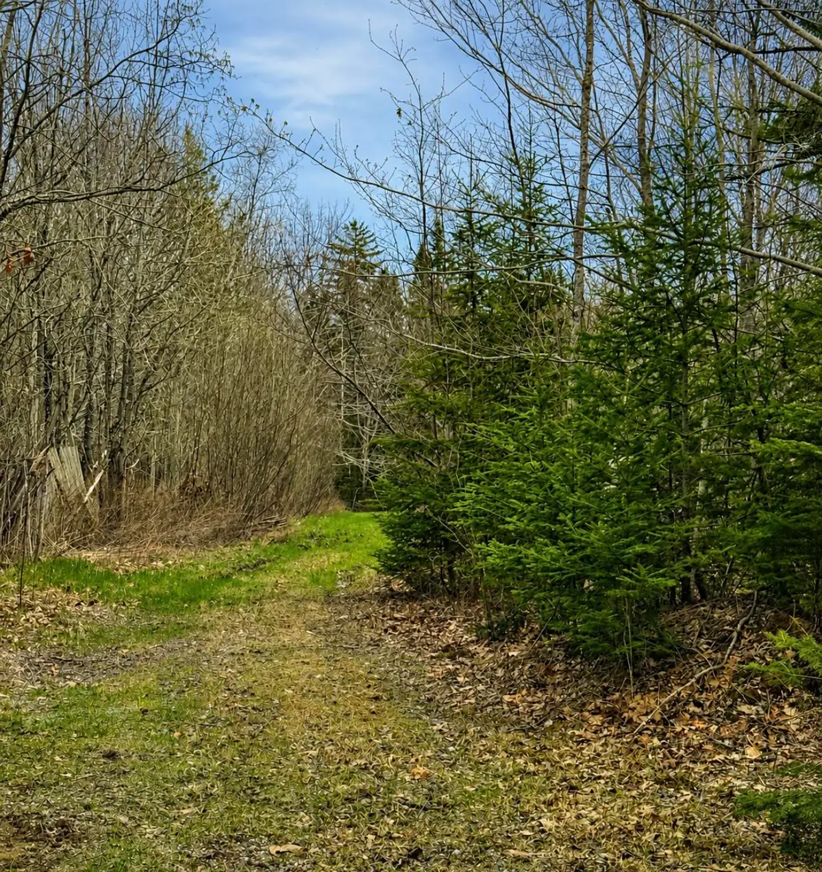 00 Kinstone Lane, Trenton, ME 04605 - #1