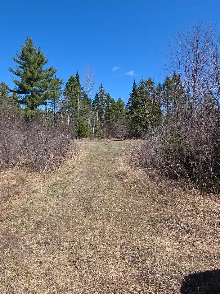 131 A River Road, Oakfield, ME 04763 - #1