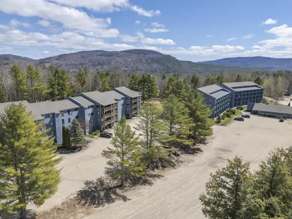 10 Brookside Drive #1B308, Newry, ME 04261