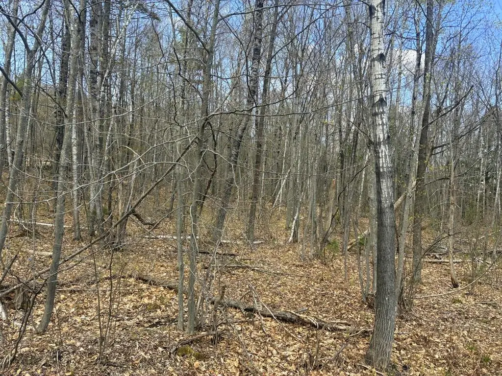 Lot 2-7 Prospect Street, Wilton, ME 04294 - #1
