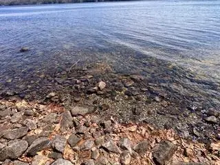 Lot #1 Wells Road S, Bridgton, ME 04009 - #2