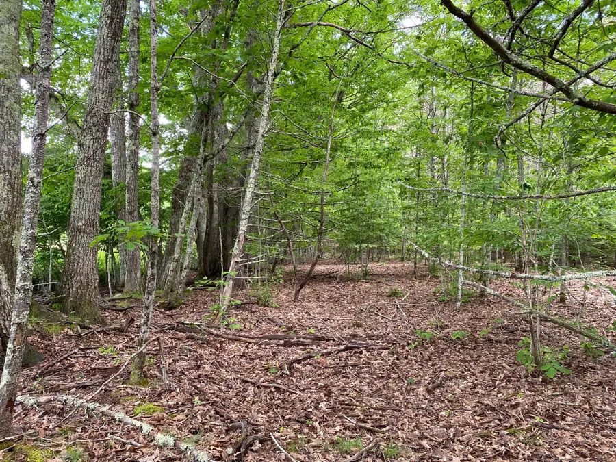 34-Acres Deering Drive, Gorham, ME 04038 - #2