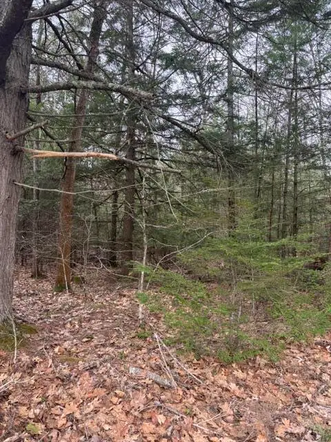 0 Old North Road, West Gardiner, ME 04345 - #2