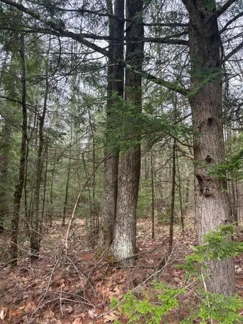 0 Old North Road, West Gardiner, ME 04345 - #3