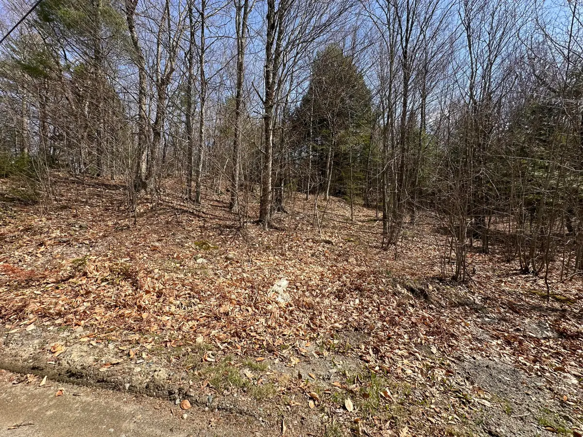 Lot 2 Filaroska Road, New Sharon, ME 04955 - #1
