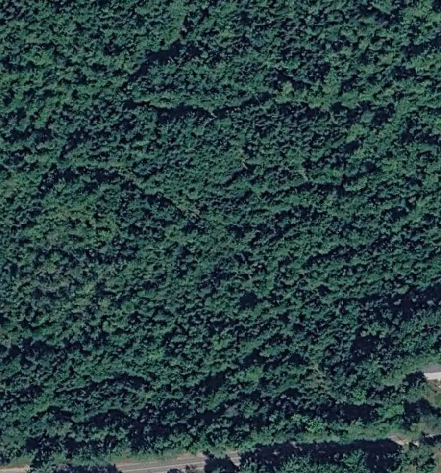 Lot 3 Carthage Road #Lot 3, Carthage, ME 04224 - #2