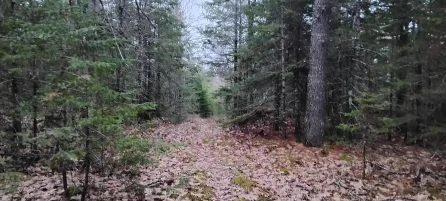 162 Ayer's Junction Road, Pembroke, ME 04666 - #3