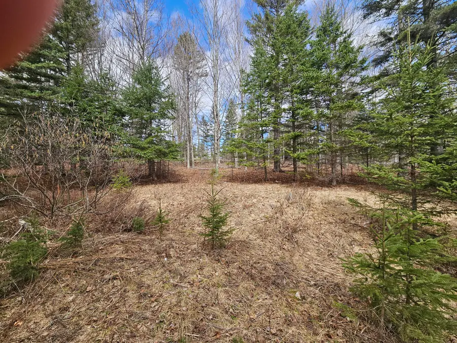 Lot 9 Amber Road, Rangeley, ME 04970 - #2