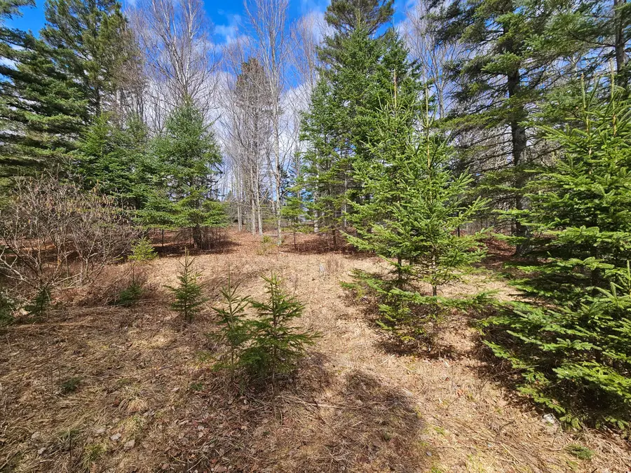 Lot 9 Amber Road, Rangeley, ME 04970 - #3