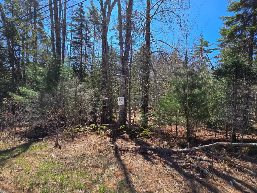 Lot #3 Turkey Cove Road, Saint George, ME 04860 - #2
