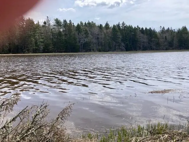Lot 1 Point Street, Addison, ME 04606 - #3