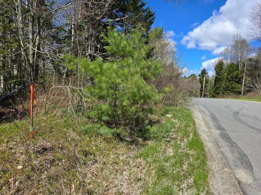 Lot #7 Wallston Road, Saint George, ME 04860 - #3