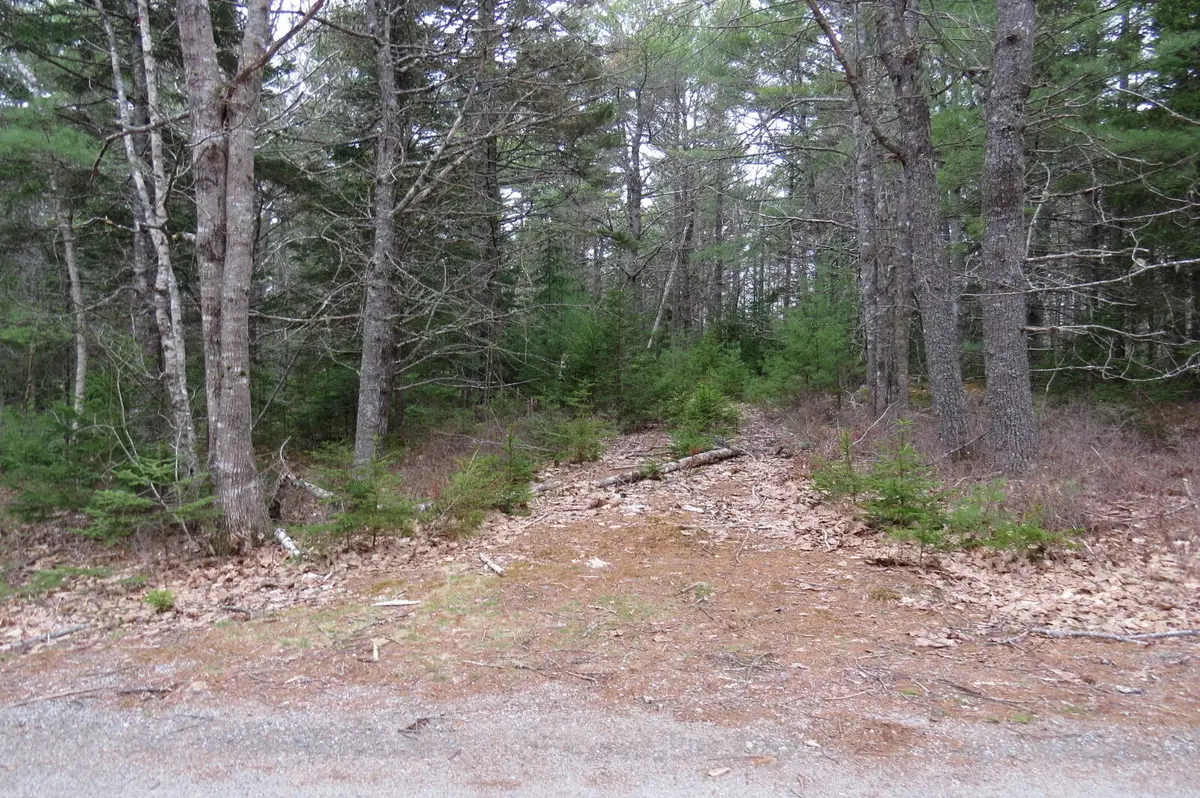 23 Porcupine Road, Sullivan, ME 04664 - #1