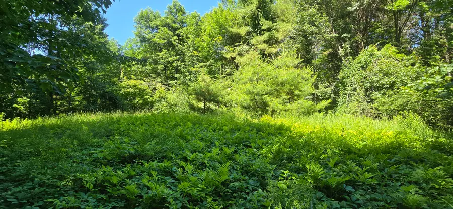 16 Wilson Road, Gorham, ME 04038 - #2