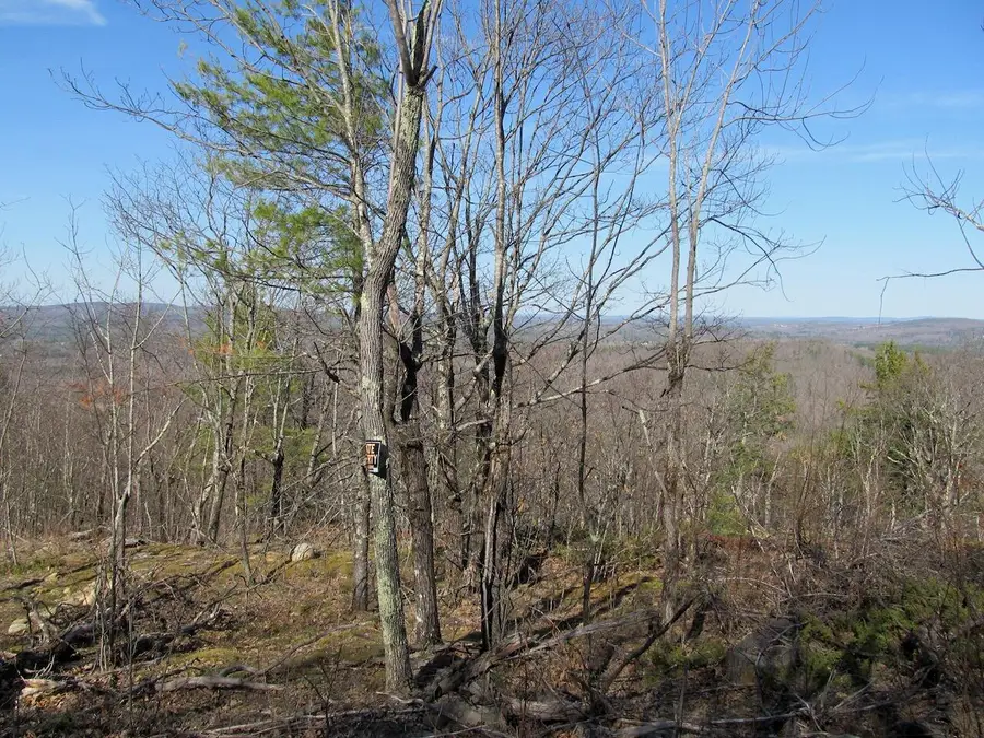 L6 Ranch Road, Buckfield, ME 04220 - #3