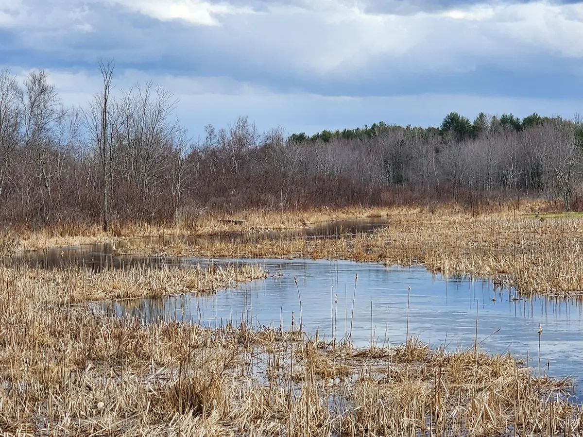 2 Goose River Estates, Swanville, ME 04915 - #1