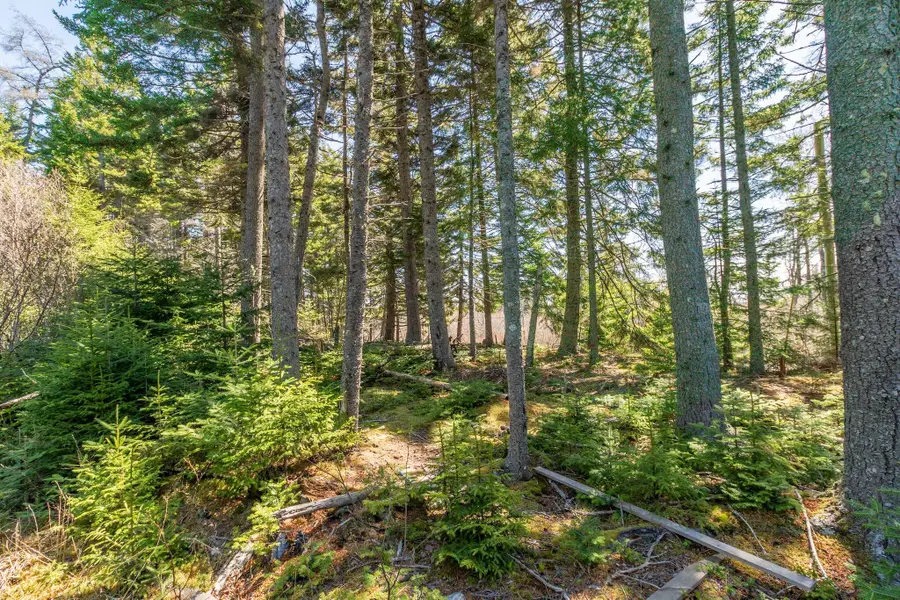 840 Cutler Rd. Road, Machiasport, ME 04655 - #3