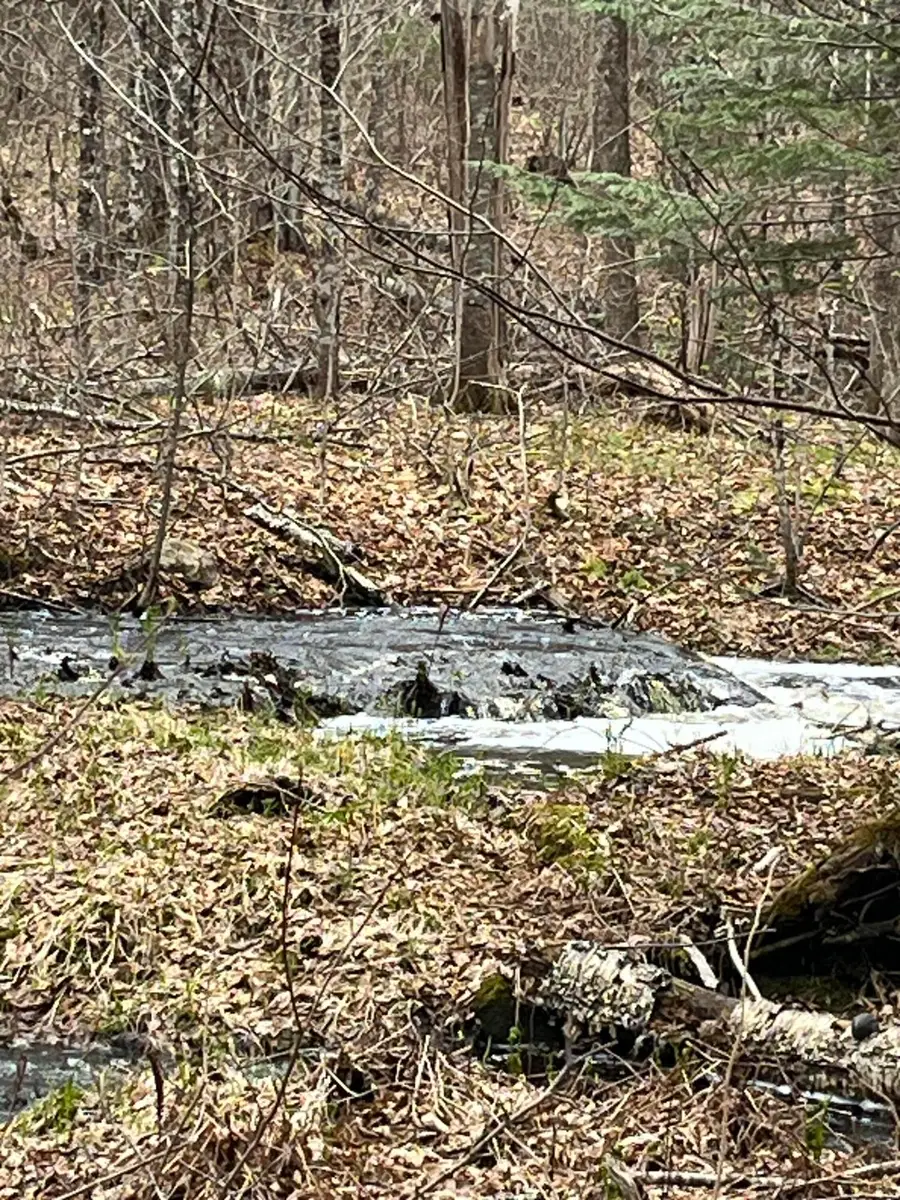M6L16 Meadowbrook Road, Amity, ME 04471 - #3