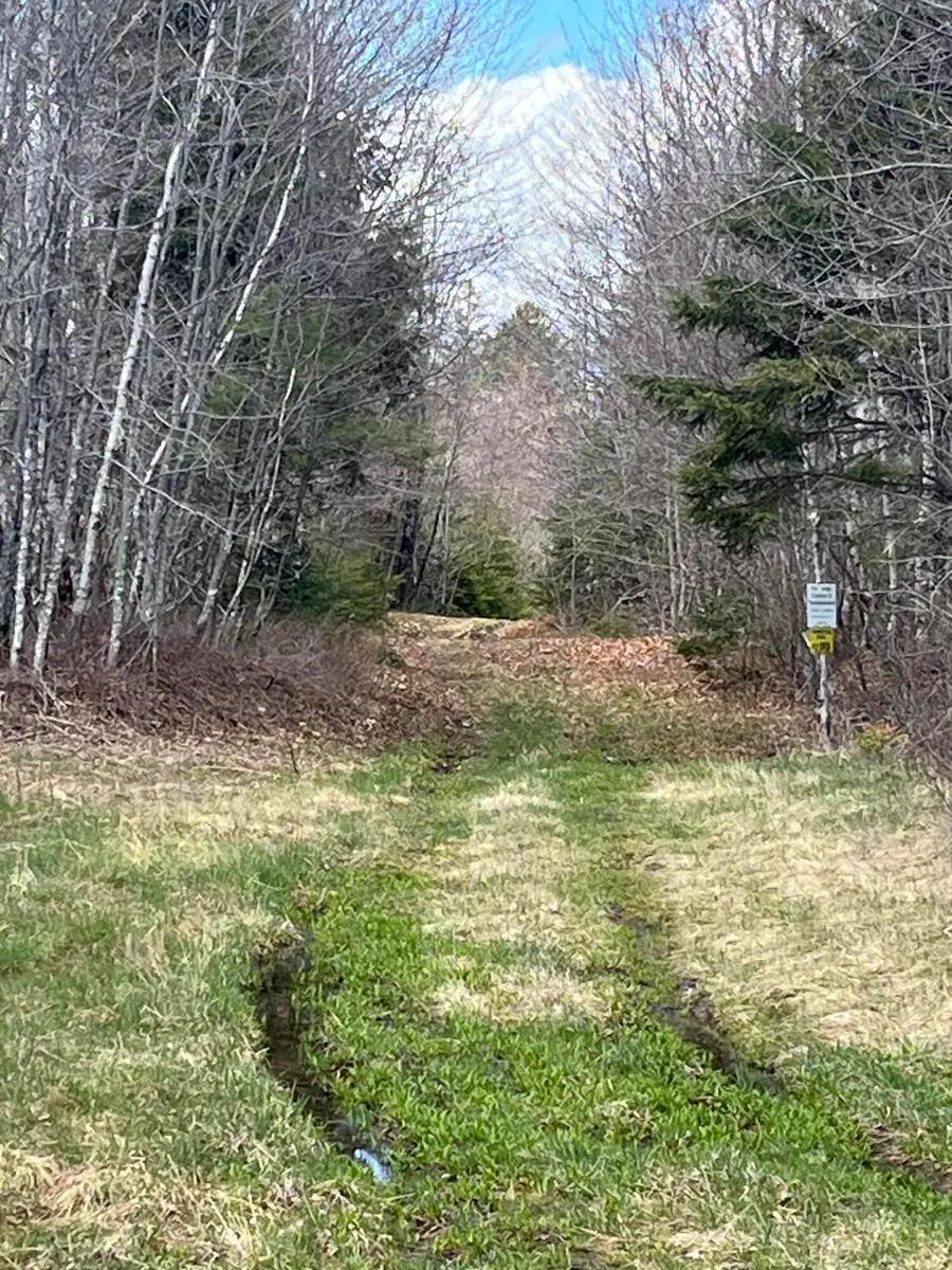 M13L30 Old Calais Road, Danforth, ME 04424 - #3