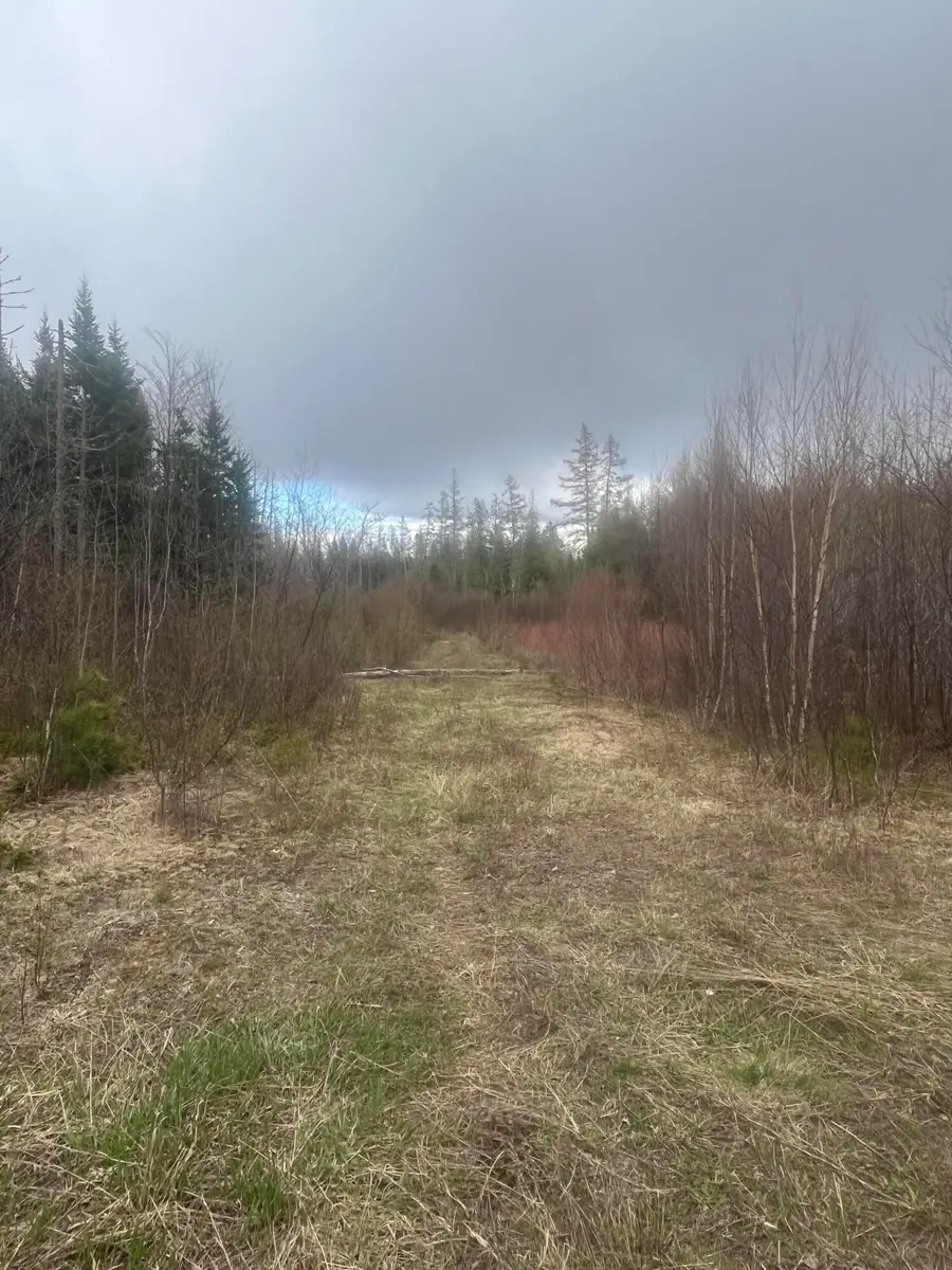 M2L12W Bangor Road, Haynesville, ME 04497 - #3