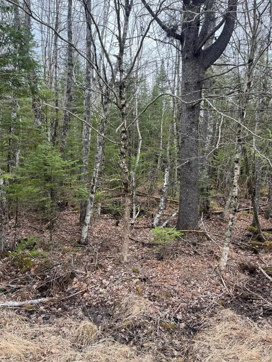 M6L9 Boundary Road, Orient, ME 04471 - #3